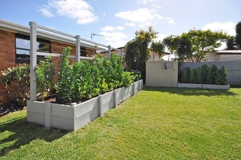 Photo of property in 9 Thames Place, Pukekohe, 2120