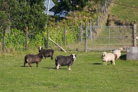Photo of property in 568 Mangorei Road, Mangorei, New Plymouth, 4371