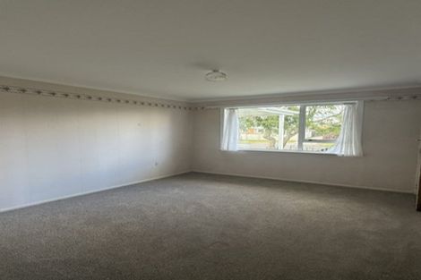 Photo of property in 22 Ngahere Street, Otumoetai, Tauranga, 3110