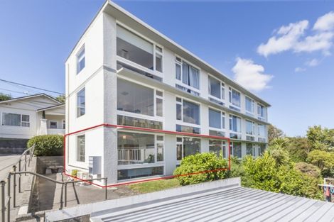 Photo of property in 157a Ohiro Road, Brooklyn, Wellington, 6021