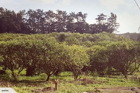 Photo of property in 409 Main Road, Kaiata, Greymouth, 7805