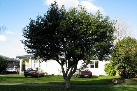 Photo of property in 9 Kowhai Street, Whakatane, 3120