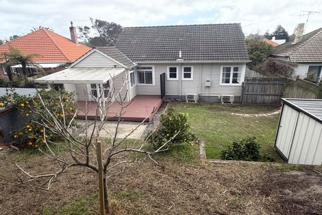 Photo of property in 24 Galway Avenue, Hamilton East, Hamilton, 3216
