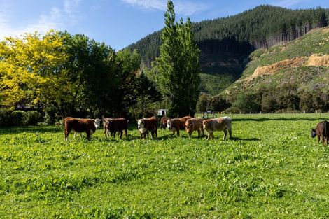 Photo of property in 208 Mount Riley Road, Okaramio, Havelock, 7178