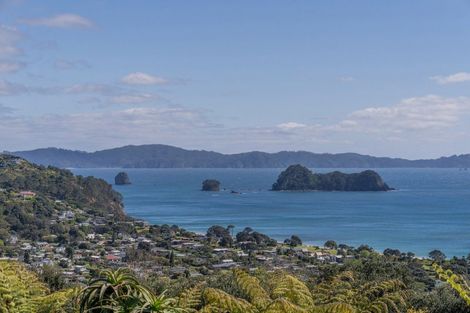 Photo of property in 47 Sarahs Hill, Hahei, Whitianga, 3591