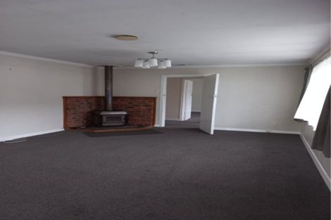 Photo of property in 20 Norwood Street, Normanby, Dunedin, 9010