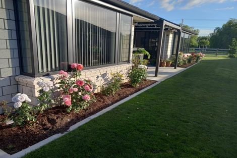 Photo of property in 31 Banks Road, Matamata, 3400