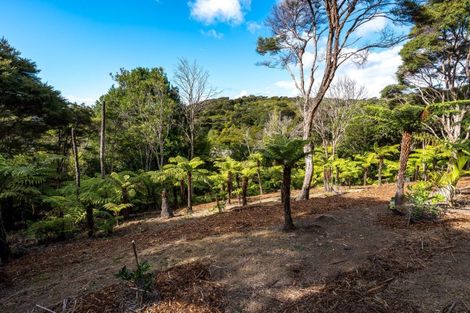 Photo of property in 50 Carsons Road, Waiheke Island, 1971