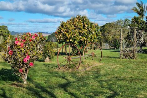 Photo of property in 303 Port Albert Road, Wellsford, 0900