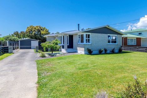 Photo of property in 172 Queen Street West, Levin, 5510