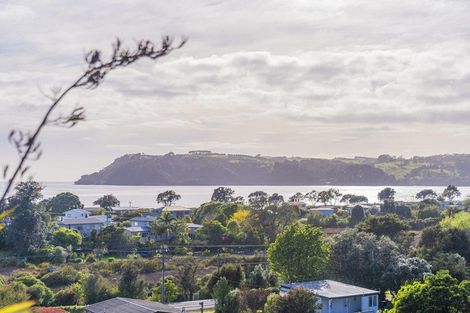 Photo of property in 953b Purangi Road, Cooks Beach, Whitianga, 3591