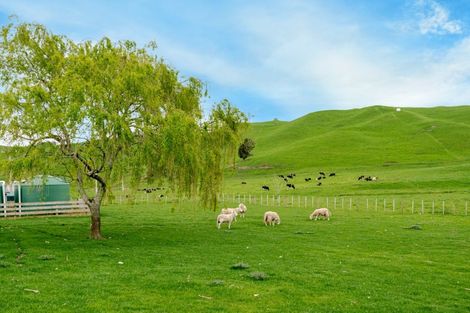 Photo of property in 226 Te Ranga Road, Te Onepu, Hastings, 4174