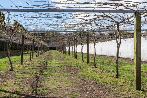 Photo of property in 154b Wairoa Road, Minden, Tauranga, 3171