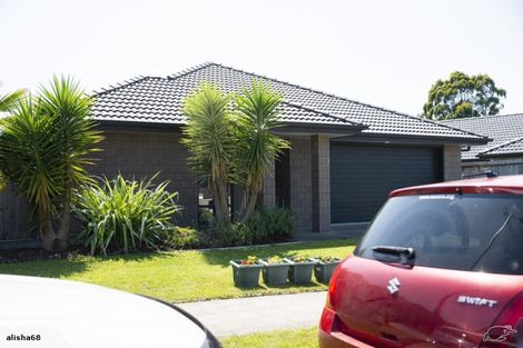 Photo of property in 29 Edgeview Crescent, Fitzroy, Hamilton, 3206