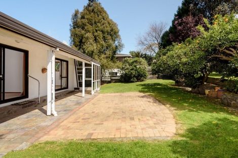 Photo of property in 53 Heron Avenue East, Matua, Tauranga, 3110