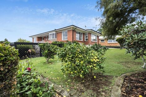 Photo of property in 7 Totara Avenue, Matamata, 3400