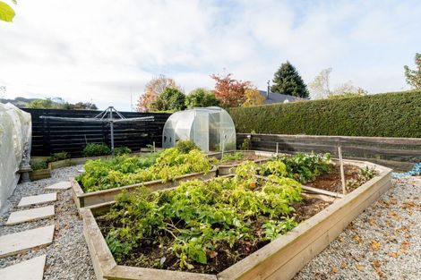 Photo of property in 61 Holyhead Street, Outram, 9019