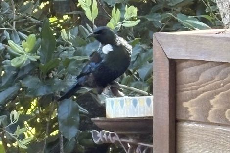 Photo of property in 5 Torr Street, Vauxhall, Dunedin, 9013