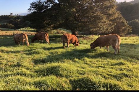 Photo of property in 492 Wairere Road, Paparoa, 0571