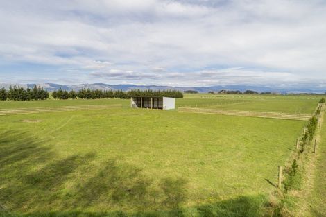 Photo of property in 265 Hoihere Road, Tiakitahuna, Palmerston North, 4477