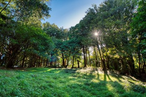 Photo of property in 101 Ross Road, Whakamarama, Tauranga, 3179