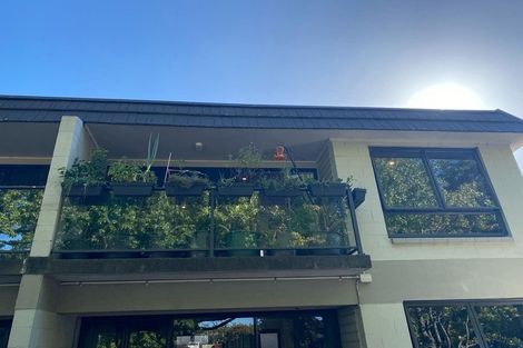 Photo of property in 15 Piako Road, Claudelands, Hamilton, 3214