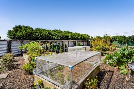 Photo of property in 475 Manawapou Road, Hawera, 4672