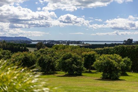Photo of property in 63 Ongare Point Road, Tahawai, Katikati, 3170