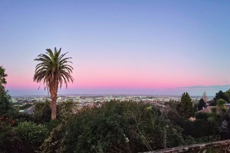 Photo of property in 41 Te Kawa Road, Greenlane, Auckland, 1061