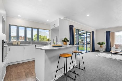 Photo of property in 167a Clarkin Road, Fairfield, Hamilton, 3214