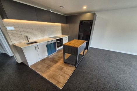 Photo of property in 2/88 Poulson Street, Addington, Christchurch, 8024