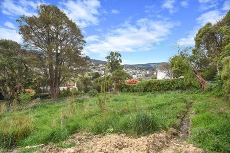 Photo of property in 36a Falcon Street, Kaikorai, Dunedin, 9010