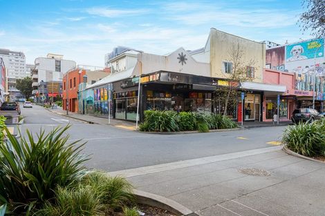 Photo of property in 2/20 Garrett Street, Te Aro, Wellington, 6011