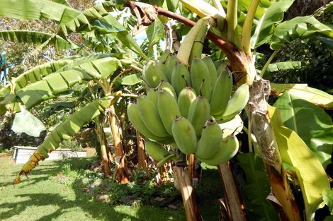 Photo of property in 84 Rangitane Loop Road, Kerikeri, 0294