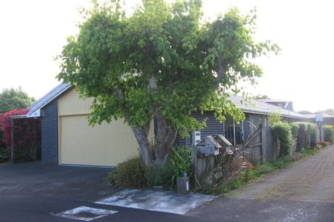 Photo of property in 34 Dunkerron Avenue, Epsom, Auckland, 1051