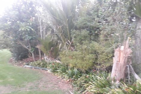 Photo of property in 41 Cory Road, Kaukapakapa, 0873