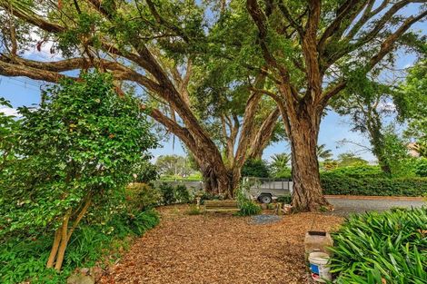 Photo of property in 19 Mill Road, Regent, Whangarei, 0112