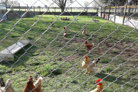 Photo of property in 349 Hauraki Road, Orongo, Thames, 3574