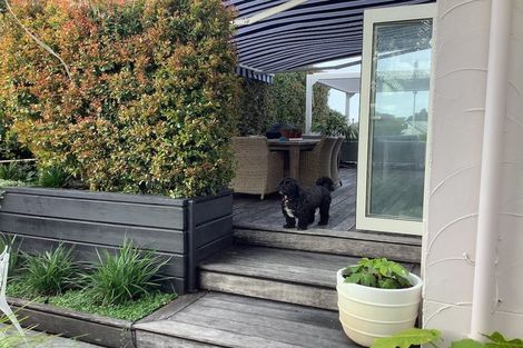 Photo of property in 48b Golf Road, Mount Maunganui, 3116