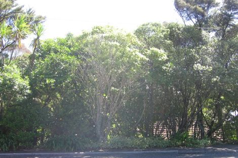 Photo of property in 187 Manuka Road, Bayview, Auckland, 0629