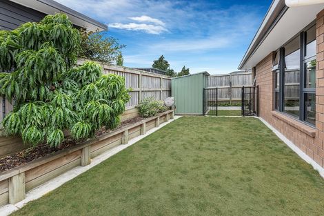 Photo of property in 15 Hoylake Place, Morrinsville, 3300