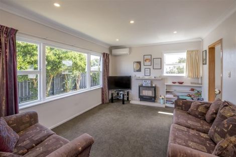 Photo of property in 1 Middlesex Street, Levin, 5510