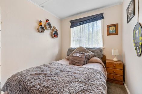 Photo of property in 114 Mangawhero Terrace, Ohakune, 4625