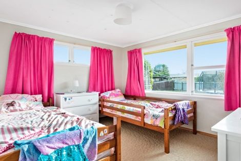 Photo of property in 17 Alana Place, Witherlea, Blenheim, 7201