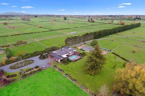 Photo of property in 298 Bellevue Road, Matangi, Cambridge, 3493