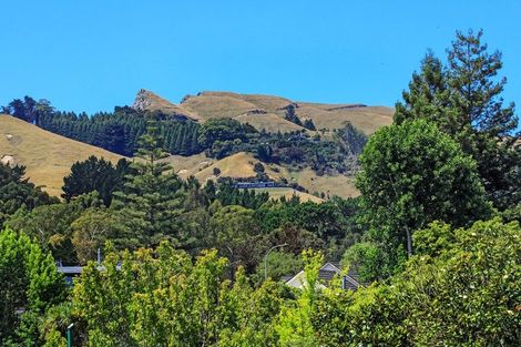 Photo of property in 8 Te Puna Place, Havelock North, 4130