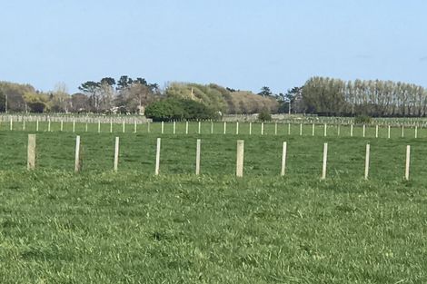 Photo of property in 30 Monrad Street, Highbury, Palmerston North, 4412