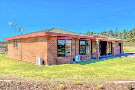 Photo of property in 151 Banks Road, Matamata, 3473