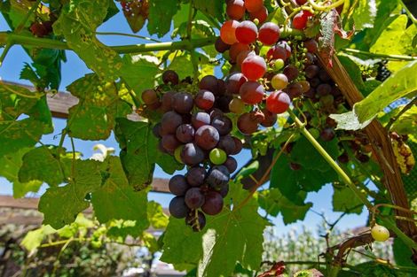 Photo of property in 3/53a Hinemoa Street, Whakatane, 3120