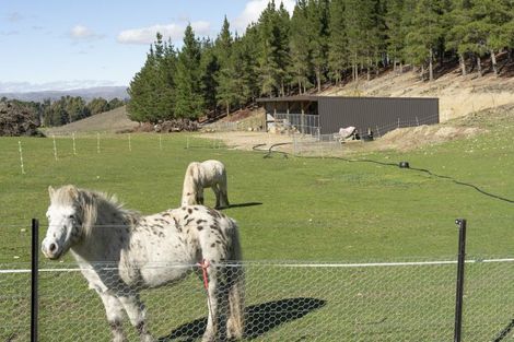 Photo of property in 390c Letts Gully Road, Letts Gully, Alexandra, 9393